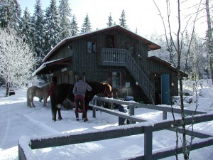 talli Lilja 1